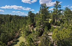 50 Acres 10321 Two Track Trail, Custer County, SD 57735