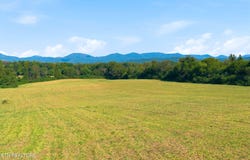 Johnson Rd, Oliver Springs, TN 37840