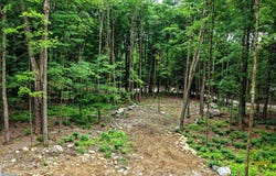 Cedar Lane lot: #2, Mendon, VT 05701
