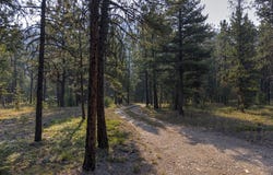 6030 West Fork Road, Darby, MT 59829