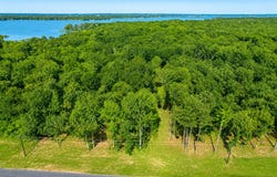 3234 Shadow Pine Drive, Larue, TX 75770