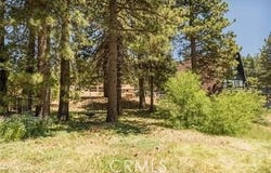 Ca-189, Twin Peaks, CA 92391