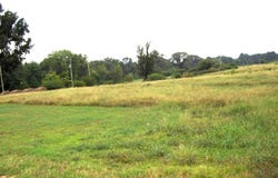 201 LR 725, Ashdown, AR 71822