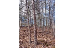 2 Riverview Forest Drive, Marion, NC 28752
