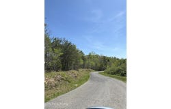 Coon Hollow Rd, Sunbright, TN 37872