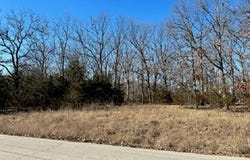 BUCKINGHAM Drive, Camdenton, MO 65020
