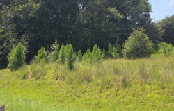 159 Grimsley Road, Colquitt, GA 39837