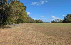 2116, Henderson, TX 75652