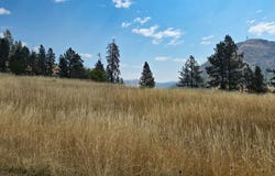 Larradon Dr, Kamiah, ID 83536
