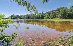 8331 AWASSA LN, St Germain, WI 54558
