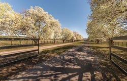Addor Road, Aberdeen, NC 28315