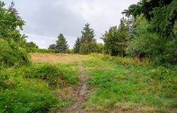 Donald Rd NE, Aurora, OR 97002