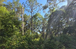 Old Town, FL 32680