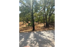 153 Catfish Trail, Bowie, TX 76230