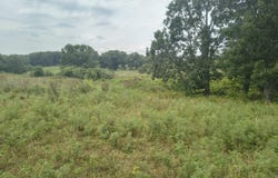 1830 Sweet Corn Drive, Galena, MO 65656