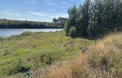 Fishermans Drive, Ashton, ID 83420