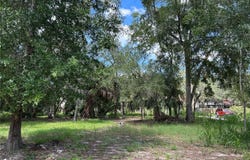VENTNOR Avenue, TARPON SPRINGS, FL 34689