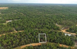 Crocus Ln, Interlachen, FL 32148