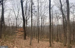 TURKEY RIDGE ROAD, CASTLETON, VA 22716