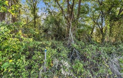 Lorena, TX 76655