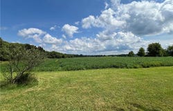 State Route 7, Andover, OH 44003
