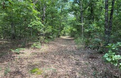 Highway A, Belleview, MO 63623