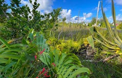 KAPOHANALU ST, Pahoa, HI 96778