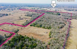 FM 553, Teague, TX 75860