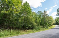 Joe Todd Road, Fleischmanns, NY 12430