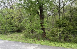 Tract 1 E Ivy Road, Carthage, MO 64836