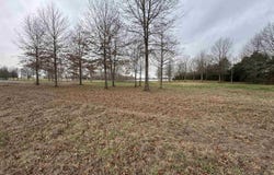 27R River Birch Drive, Guy, AR 72061
