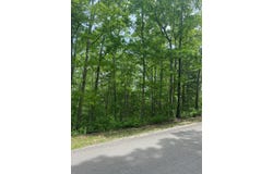 Silver Cliff Way, Branson West, MO 65737