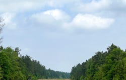 Cravens Camp Rd., Silsbee, TX 77656