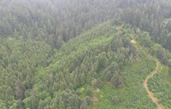 960 N Bayview Loop, Waldport, OR 97394