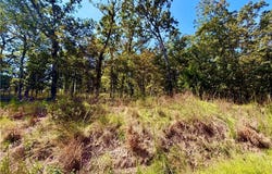 OFF SAINT SAVEUR Drive, Edwards, MO 65326