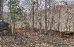 Overlook Lane, Todd, NC 28684