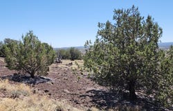 4476 W Northview Boulevard, Williams, AZ 86046
