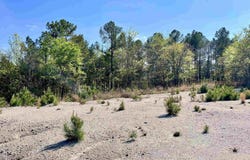 4664 E Grand Ave, Hot Springs, AR 71901