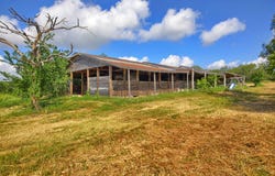 13414 Elm Grove Rd, Buda, TX 78610