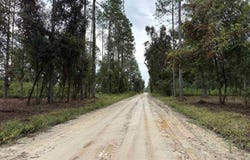 1602 Walker Springs Rd., Monticello, FL 32344