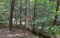 Wingina, VA 24599
