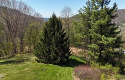 KLONDIKE RD, WARM SPRINGS, VA 24484