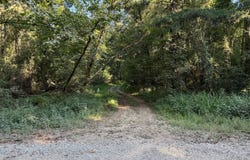 Pleasant Ridge Road, Hickory, MS 39332