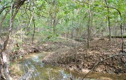 3506 Sawmill Road, Caddo, OK 74729