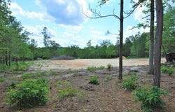 6 Sable Lane, Trenton, SC 29847
