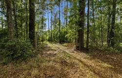 Golf Course Road, Lufkin, TX 75901