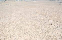 Barnes, 29 Palms, CA 92277