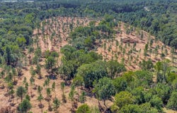 PID 32475 Austin Lane, Pollok, TX 75969