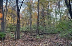Oak Drive, Three Rivers, MI 49093