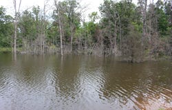 Kolb Hollow Road, Climax Springs, MO 65324